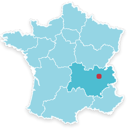 38890 SAINT CHEF